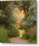 The Bunny Trail Metal Print