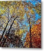 The Canopy Metal Print