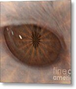 The Cat Eye Metal Print