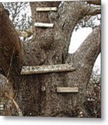 The Climbing Tree - Hurricane Katrina Survivor Metal Print