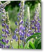 The Color Purple Metal Print