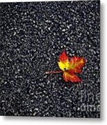 The Colors Of Autumn Metal Print