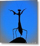 The Conductor Metal Print