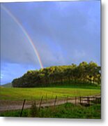 The Cyclamen Hill Metal Print