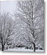The Distance Of Winter Metal Print