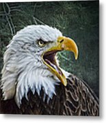 The Eagle's Cry Metal Print