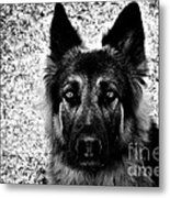 The Eyes Metal Print