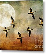 The Flight Of The Snow Geese Metal Print