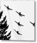 The Fly Past Metal Print