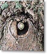 The Forest Is Watching Metal Print