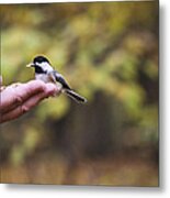 The Friendly Bird Metal Print