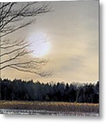 The Golden Hour - Berkshire Swamp Metal Print