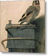 The Goldfinch Metal Print