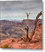 The Grand Canyon Metal Print