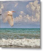 The Great Egret And The Ocean Metal Print