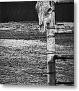 The Guard Metal Print