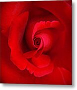 The Heart Of The Rose Metal Print