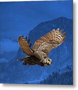 The High Country Metal Print
