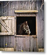 The Horse Metal Print