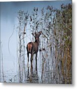 The Leaf Eater Metal Print