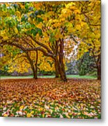 The Leaves Of Autumn Metal Print