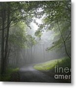 The Light Leading Home Metal Print