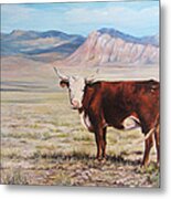 The Lone Range Metal Print