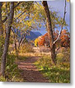 The Lure Of The Lonely Pathway Metal Print