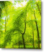 The Magic Forest-04 Metal Print