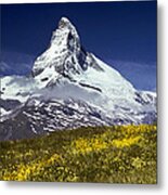 The Matterhorn With Alpine Meadow In Foreground Metal Print