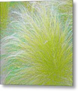 The Nature Of Grass Metal Print