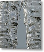 The Nature Of Ice Metal Print