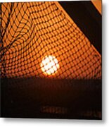 The Netted Sun Metal Print