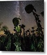 The Night Of The Triffids Metal Print