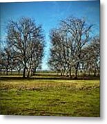 The Orchard Metal Print