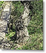 The Passageway Metal Print