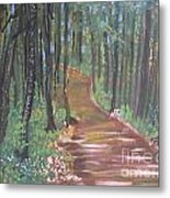 The Path Least Travelled Metal Print