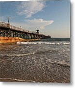 The Pier In Seal Beach Metal Print