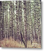 The Preaching Of The Pines Metal Print