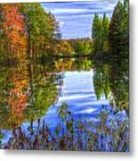 The Reflection Of Beauty Metal Print
