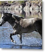 The River Crossing Metal Print