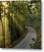 The Road Less Traveled Metal Print