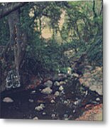 The Secret Spot Metal Print