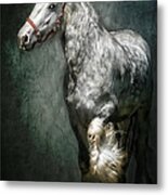 The Silver Gypsy Metal Print