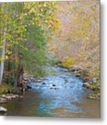 The Softer Side Of Fall Metal Print