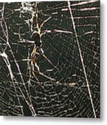 The Spider's Web Metal Print