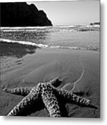 The Starfish Metal Print