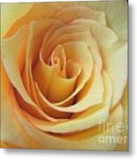 The Sun's Gentle Kiss Metal Print