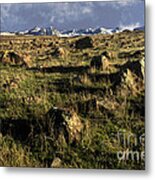 The Sutter Buttes Metal Print