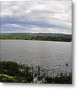The Tennessee  River In Alabama 2 Metal Print